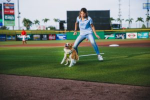 Dog Trainer in Tampa Bay